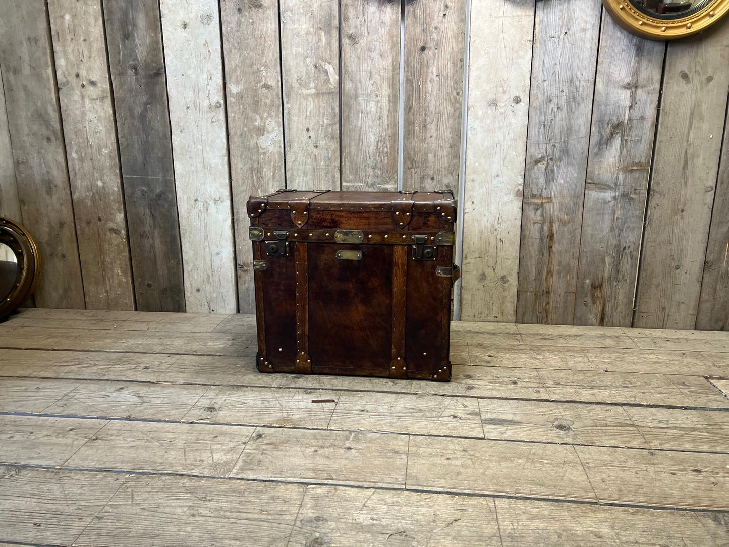 Chestnut Bridle Trunk