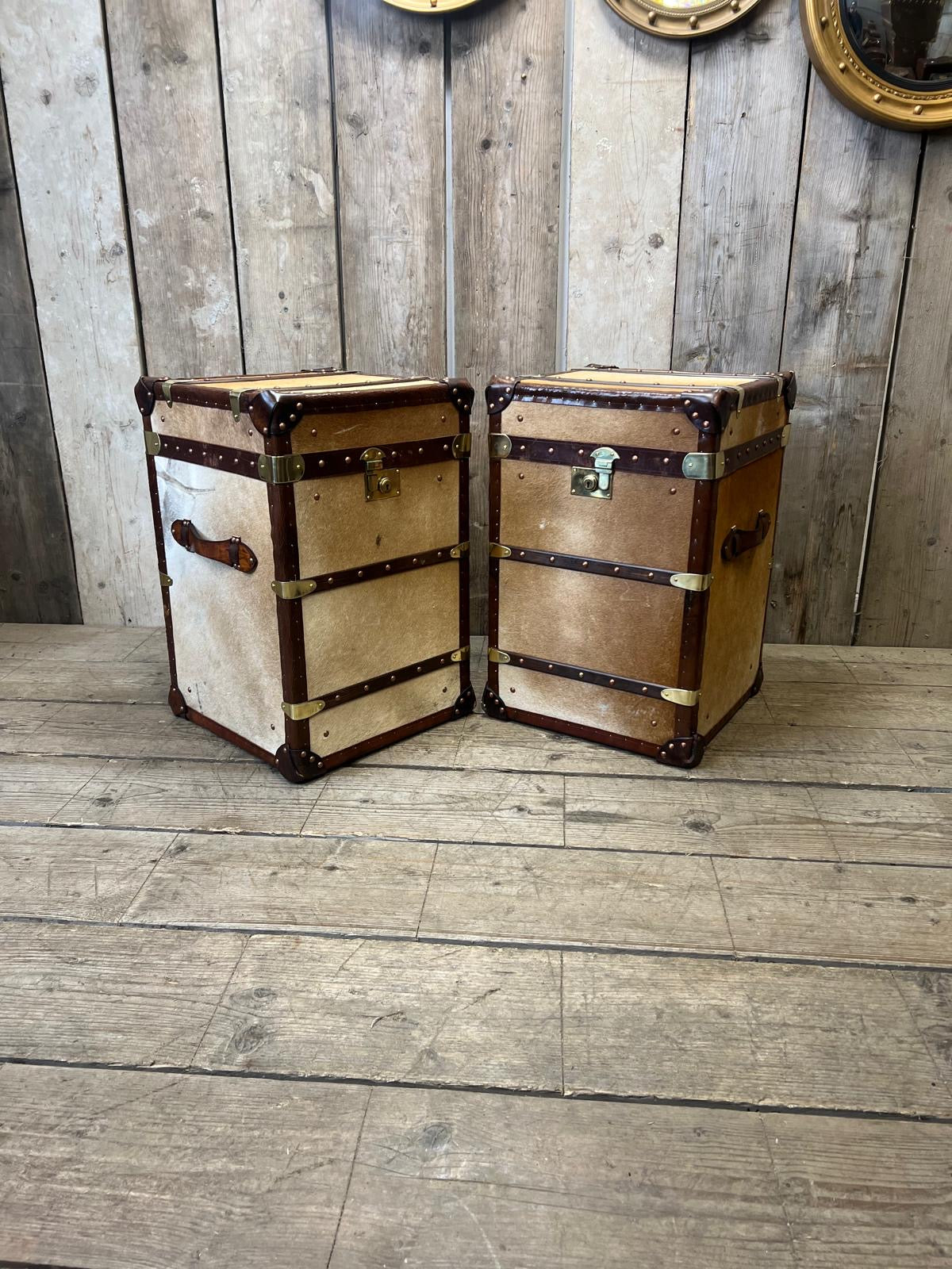 Cow Hide Trunks